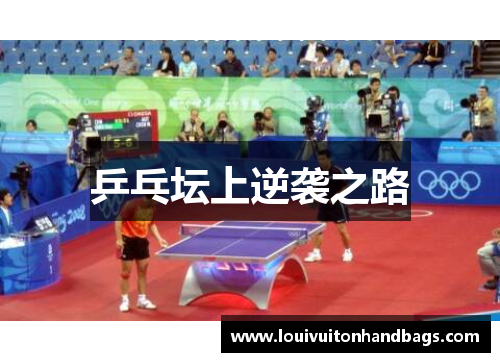 乒乓坛上逆袭之路